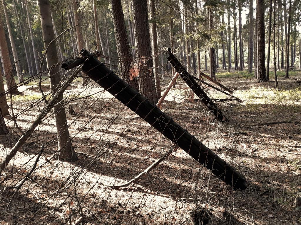 pepajs.cz